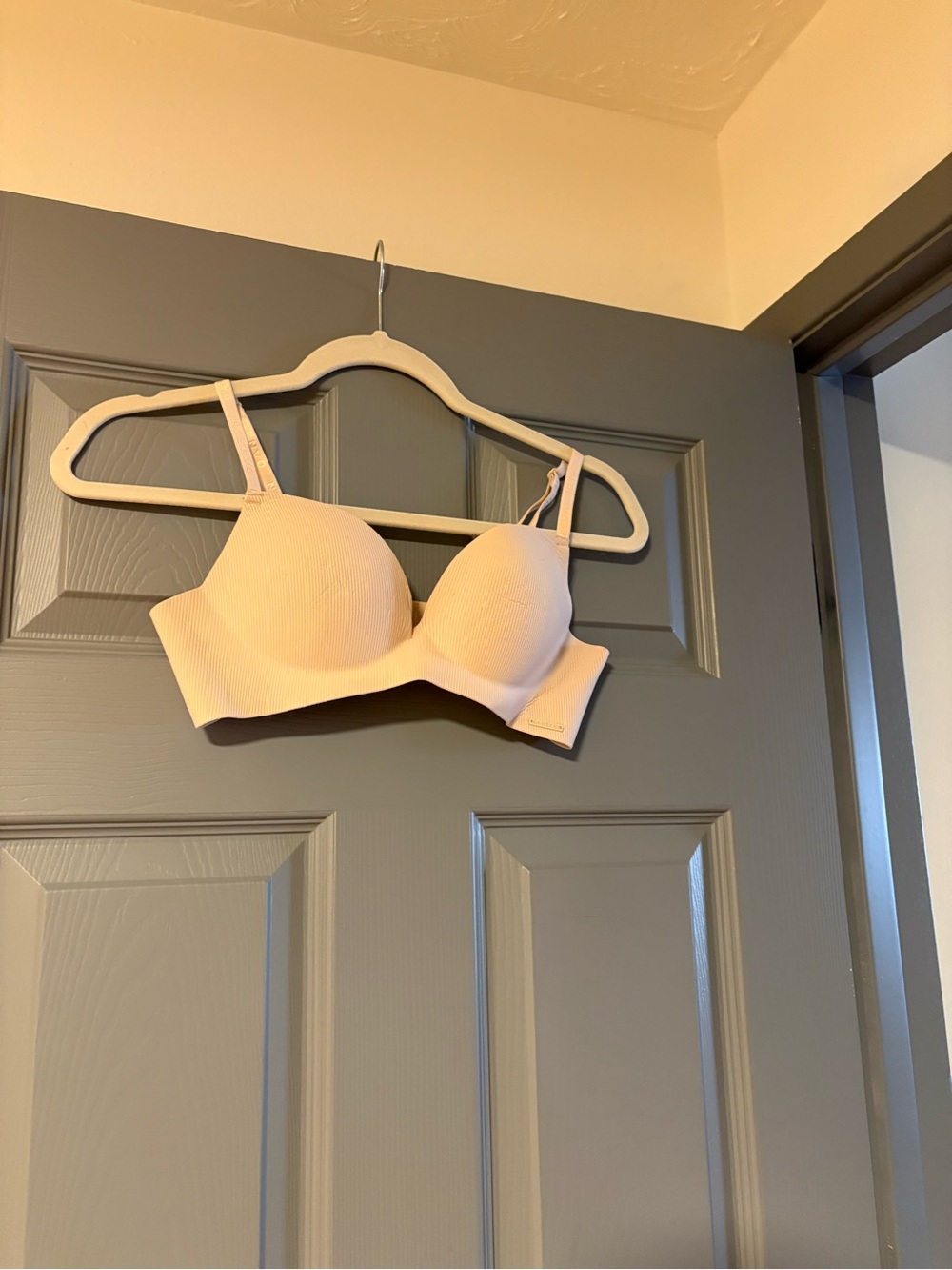 Danskin Light Beige Seamless T-Shirt Bra push up